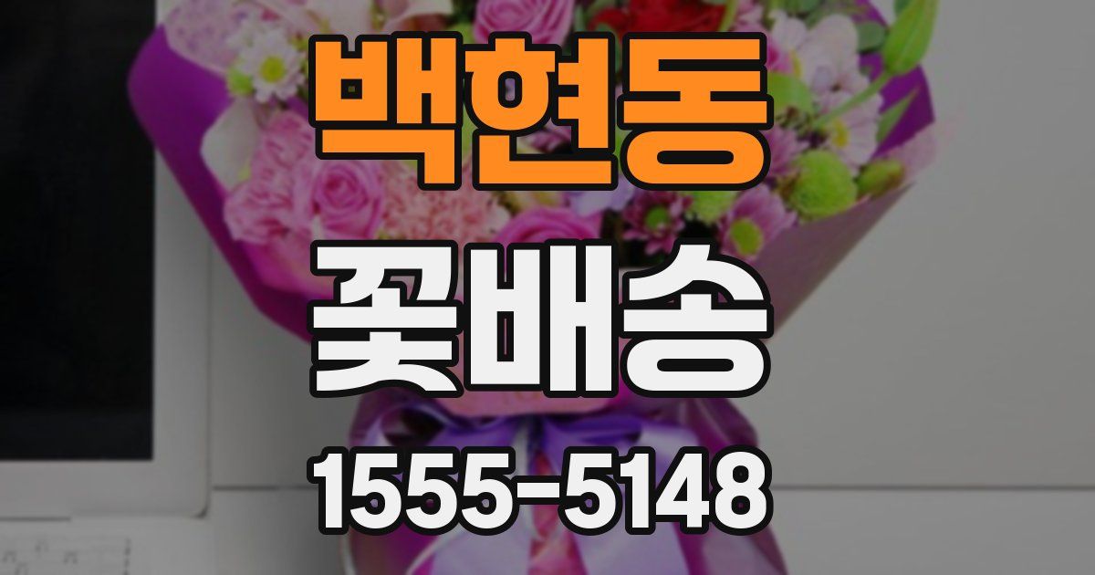 백현동 꽃배송