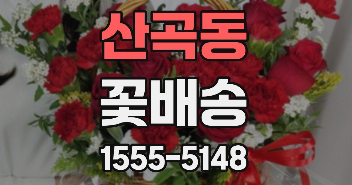 산곡동 꽃배송