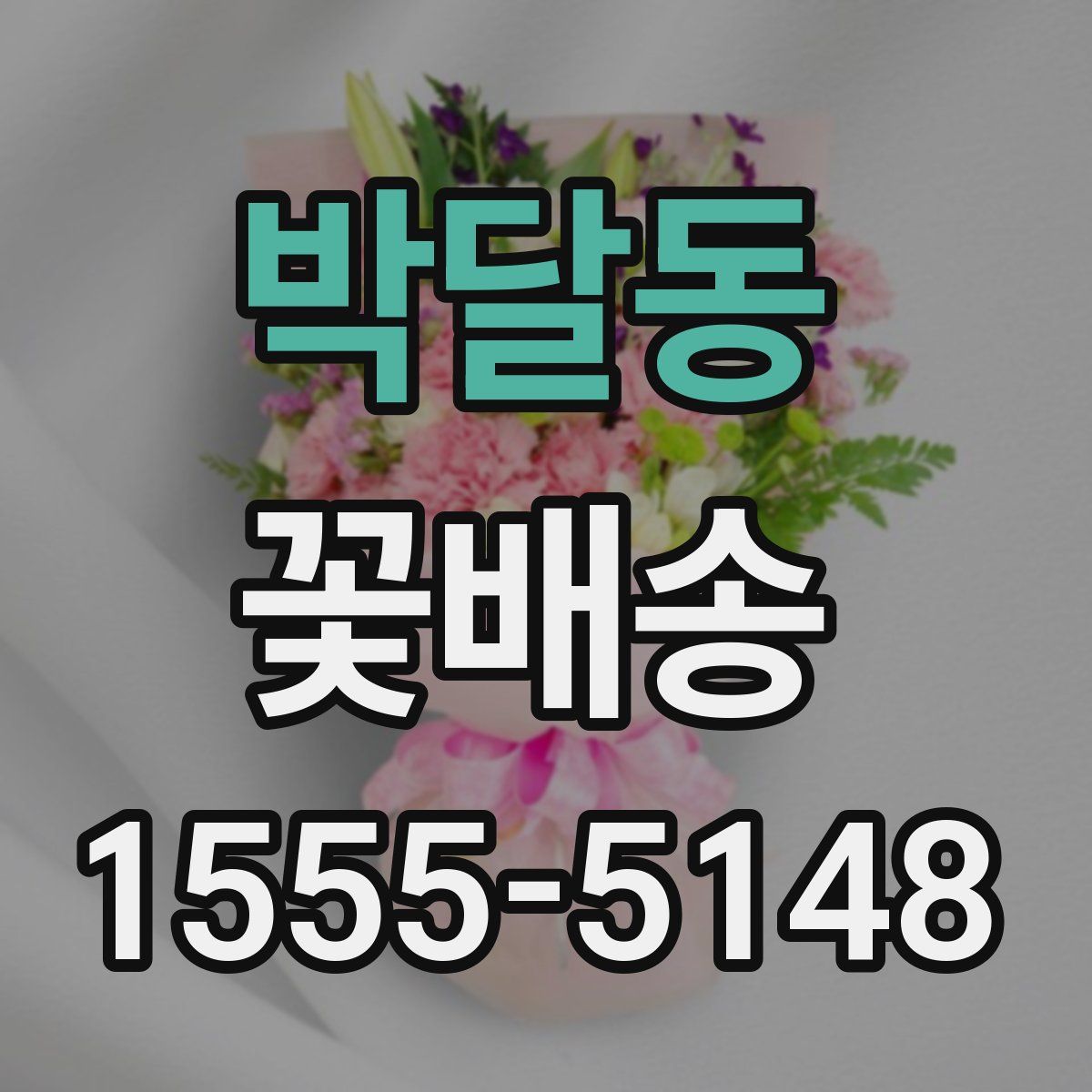박달동 꽃배송