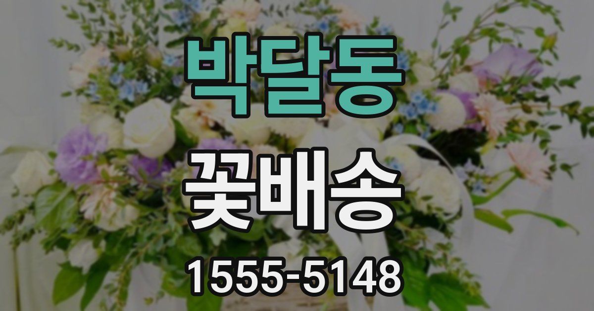 박달동 꽃배송