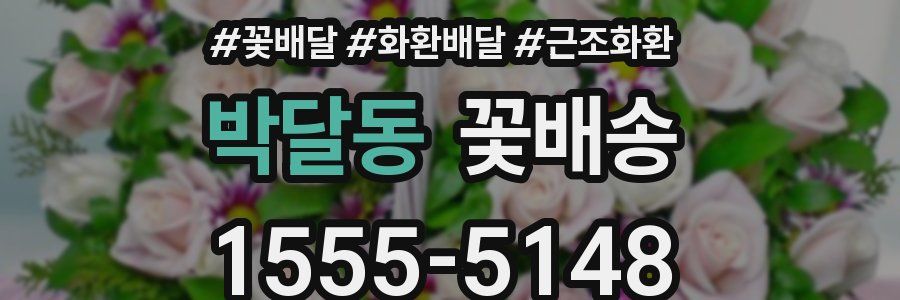 박달동 꽃배송