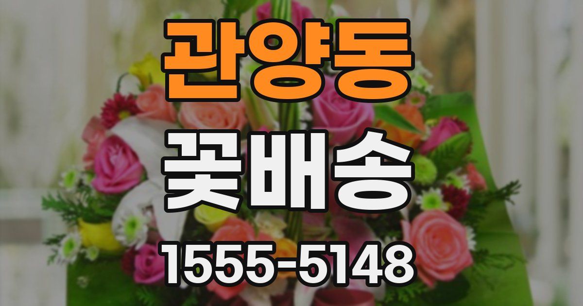 관양동 꽃배송