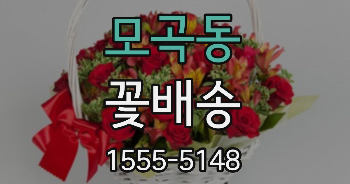 모곡동 꽃배송