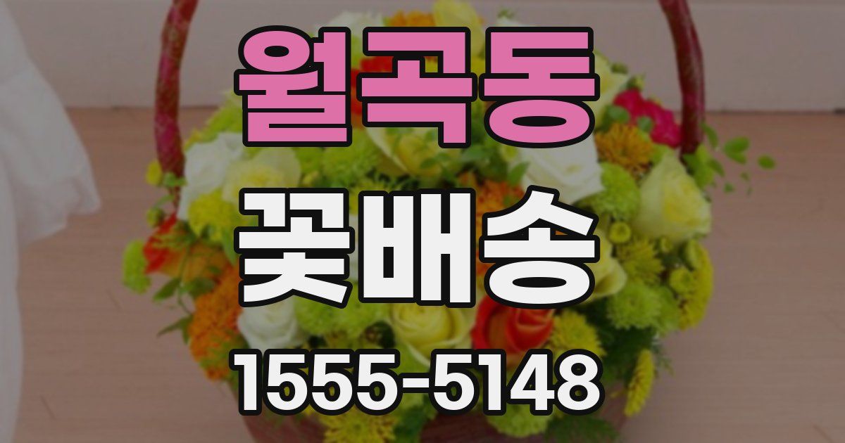 월곡동 꽃배송