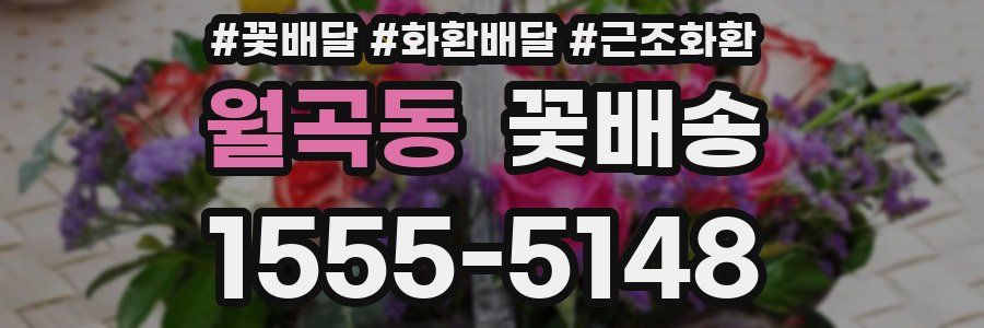 월곡동 꽃배송