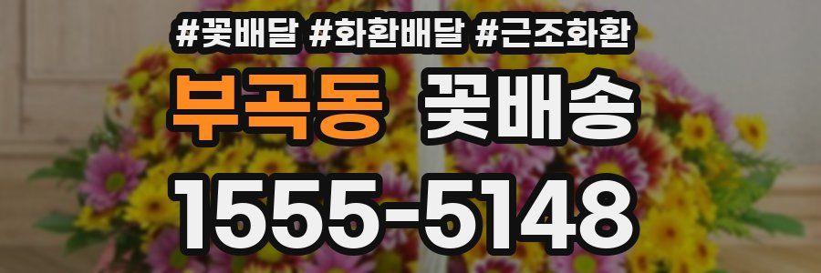 부곡동 꽃배송