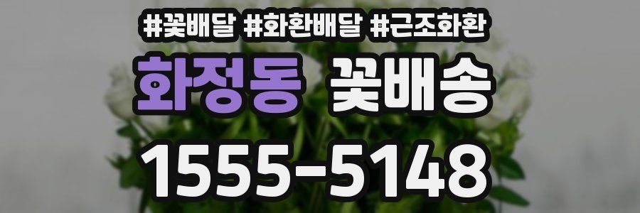 화정동 꽃배송