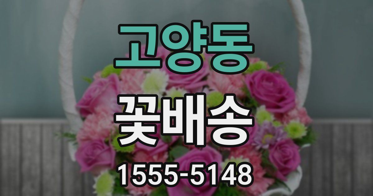 고양동 꽃배송