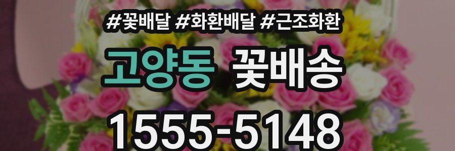 고양동 꽃배송