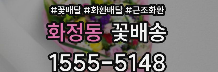 화정동 꽃배송