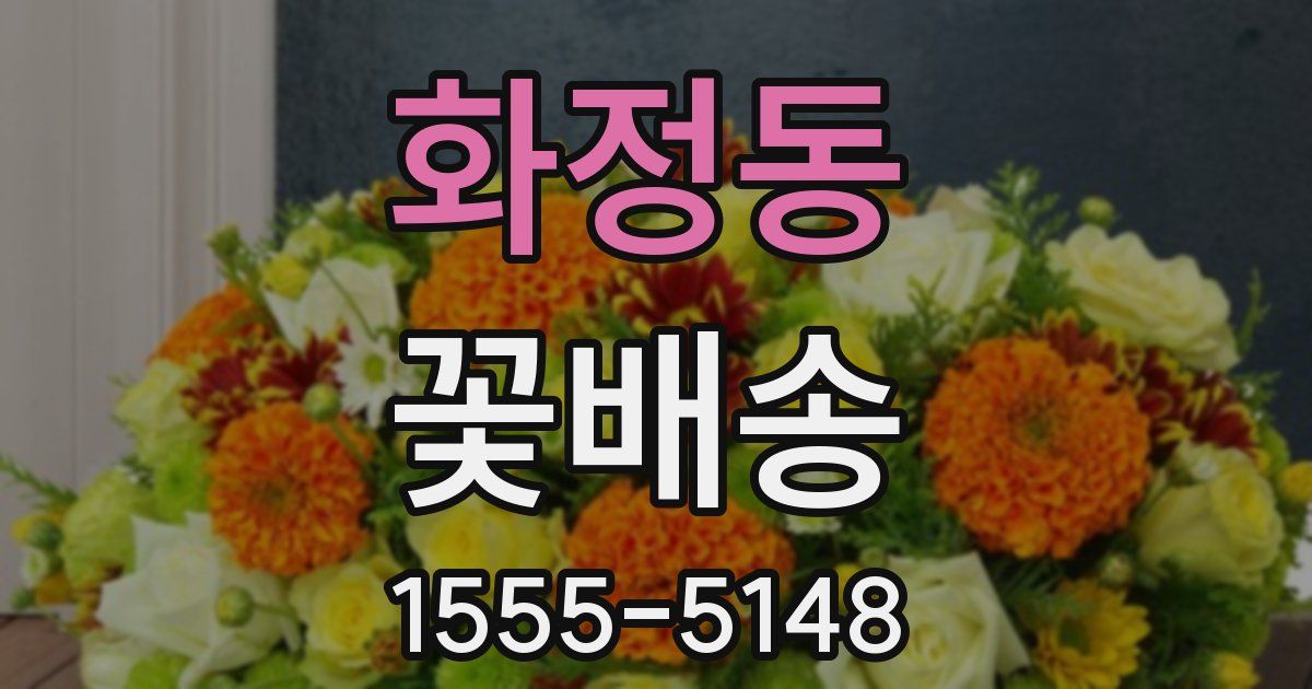 화정동 꽃배송