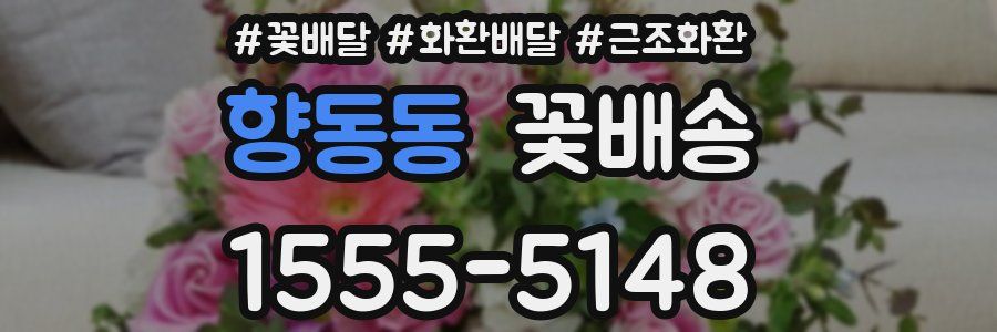 향동동 꽃배송