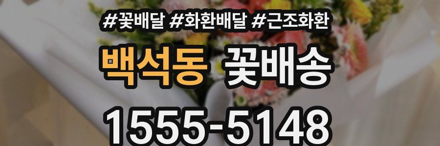 백석동 꽃배송