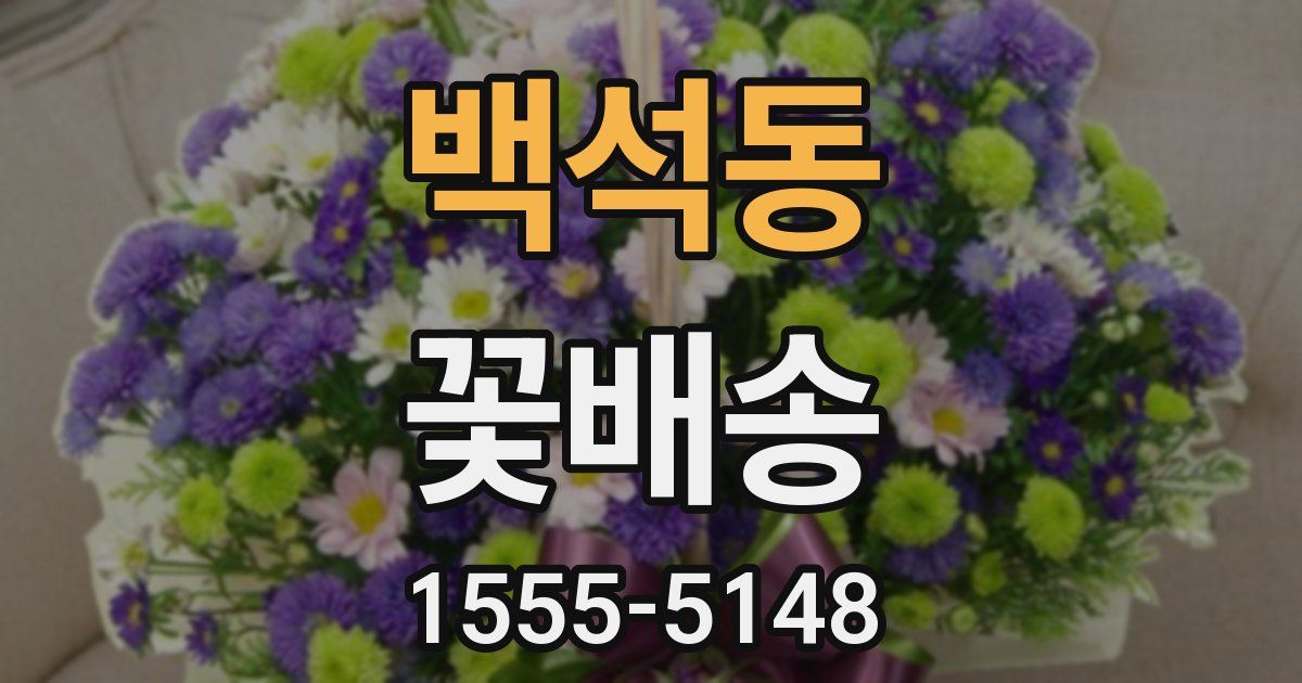 백석동 꽃배송