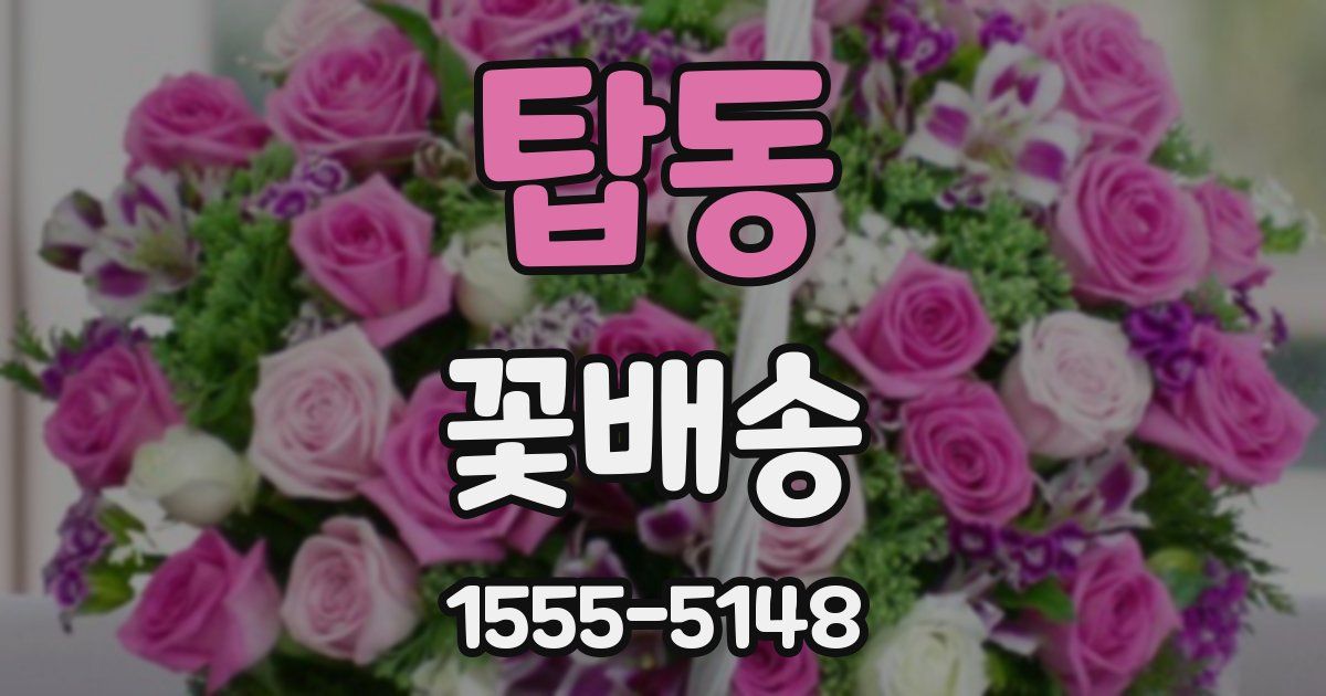 탑동 꽃배송