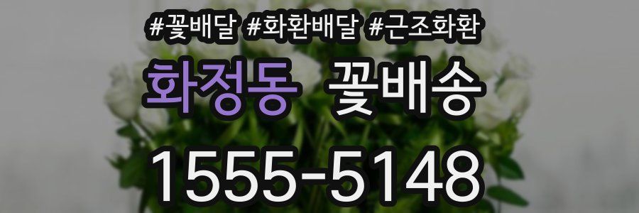 화정동 꽃배송