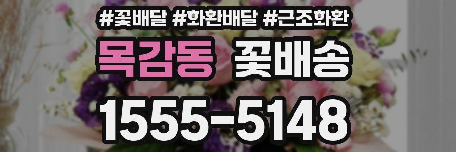 목감동 꽃배송