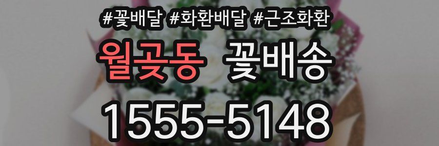 월곶동 꽃배송