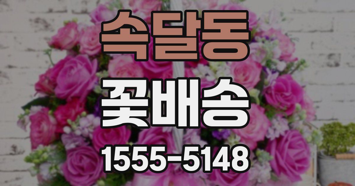 속달동 꽃배송