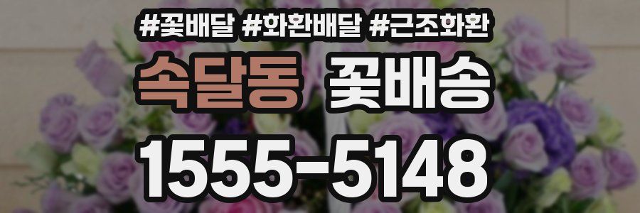 속달동 꽃배송