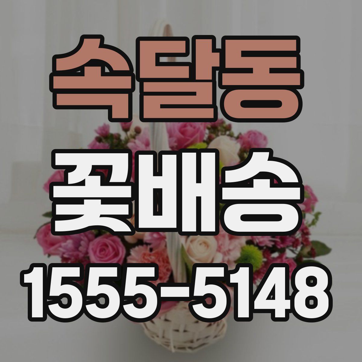 속달동 꽃배송