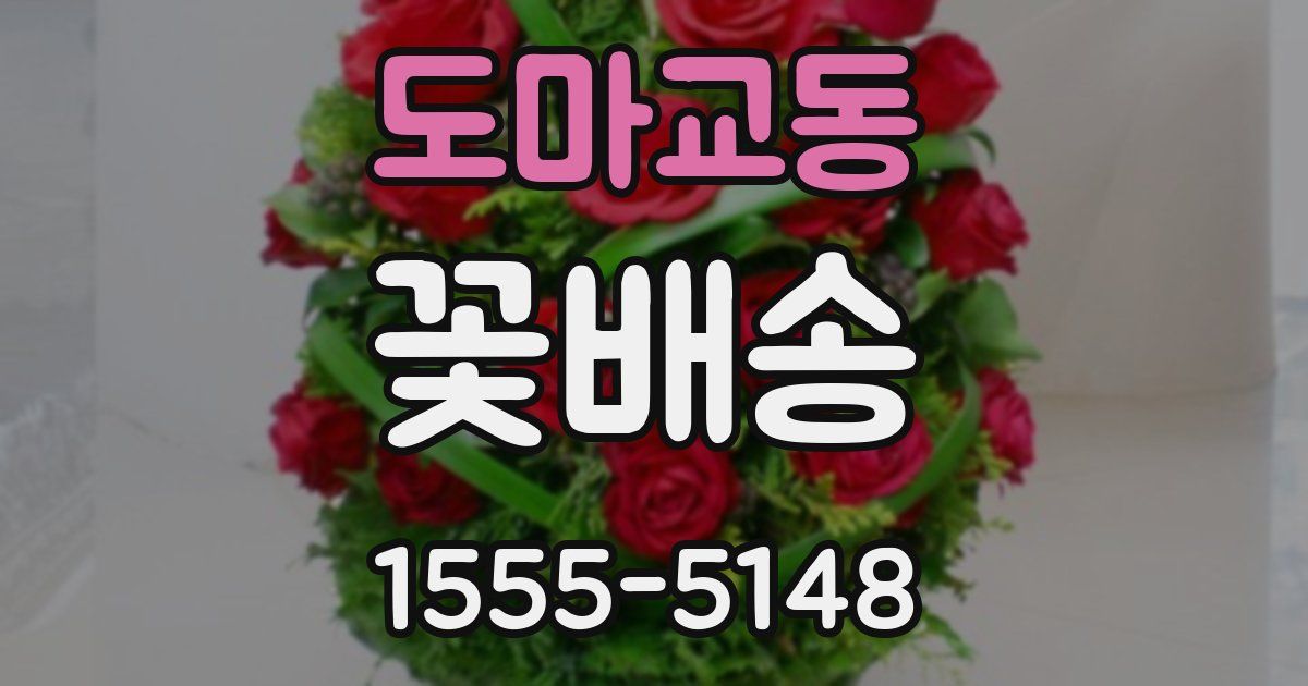 도마교동 꽃배송