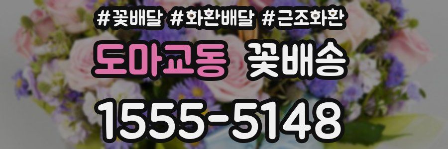 도마교동 꽃배송