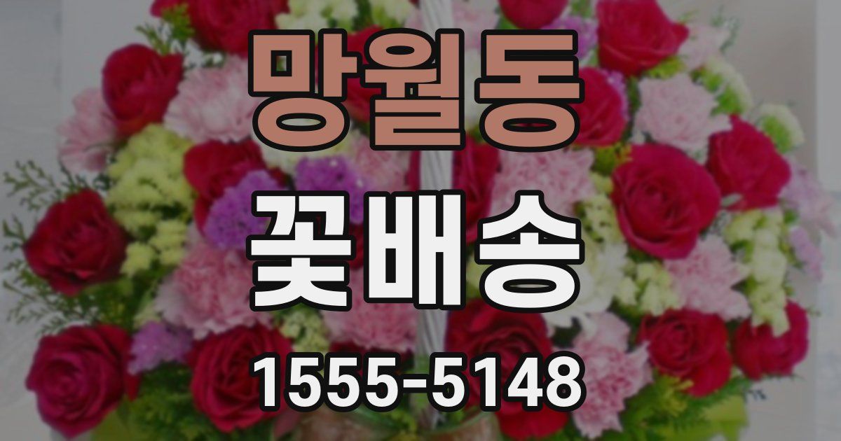 망월동 꽃배송