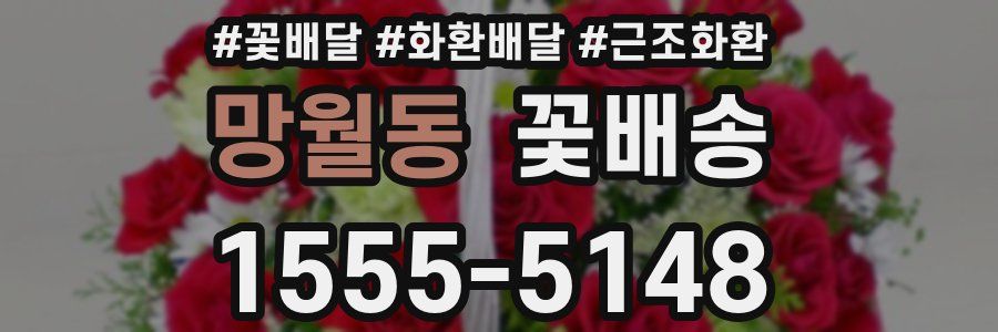 망월동 꽃배송