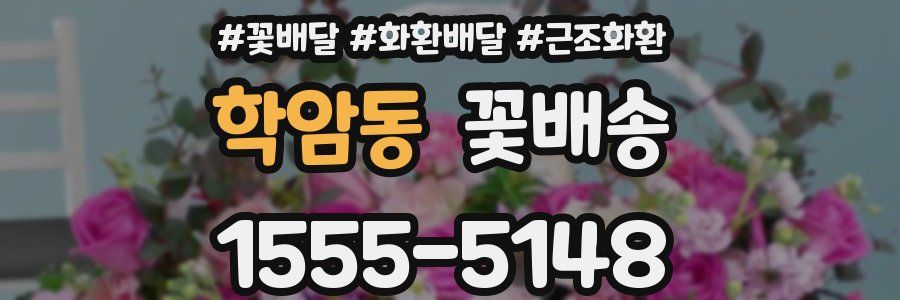 학암동 꽃배송