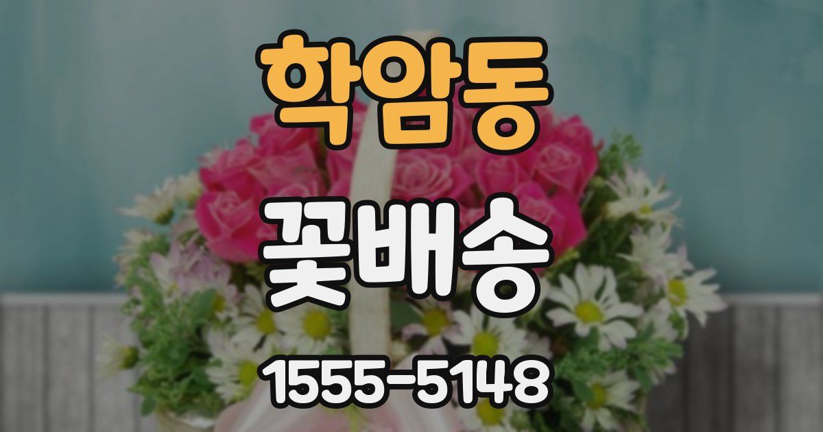 학암동 꽃배송