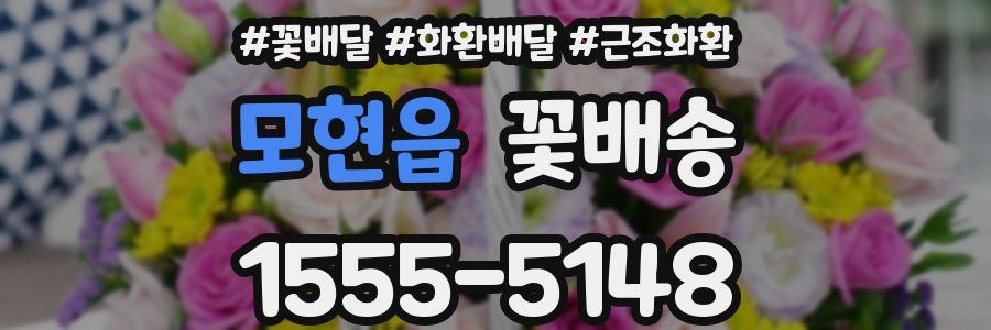모현읍 꽃배송