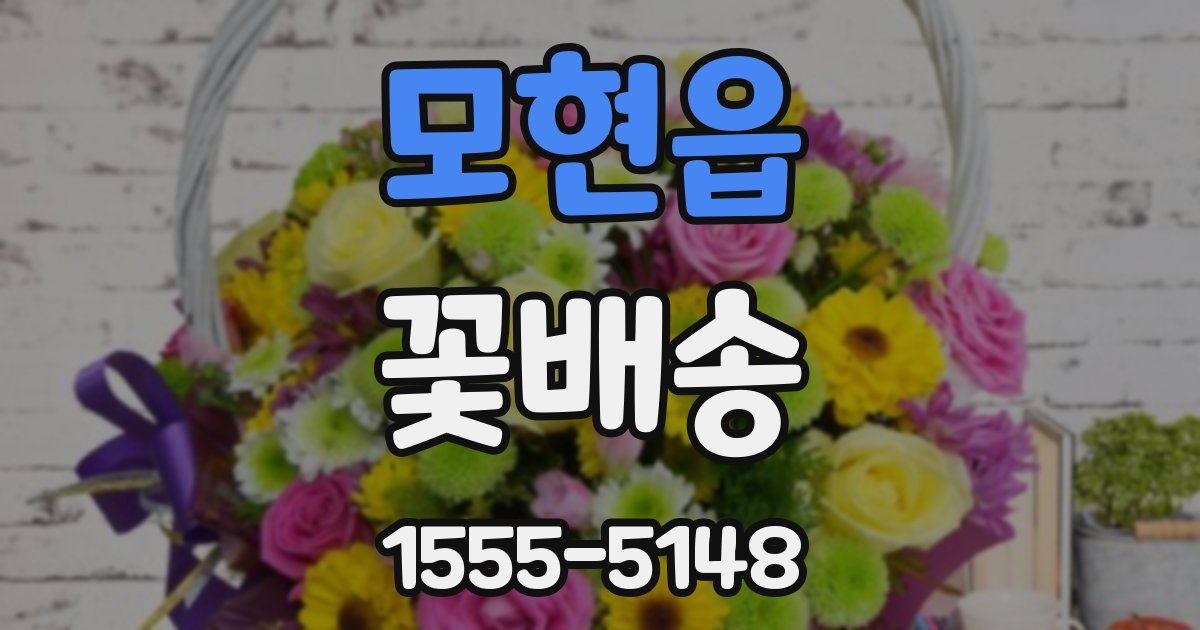 모현읍 꽃배송