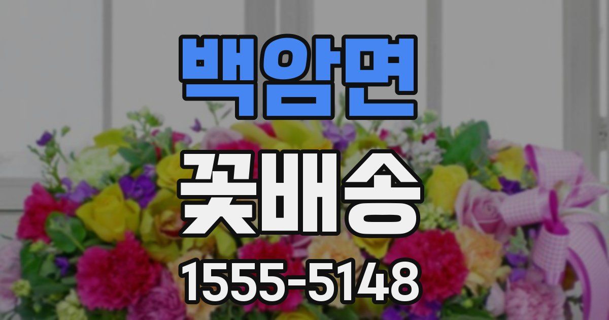 백암면 꽃배송