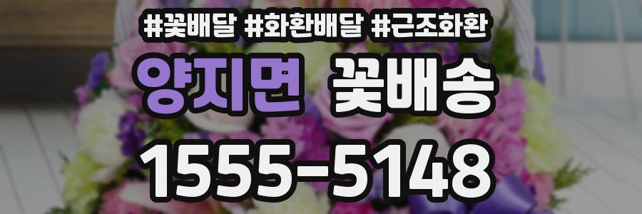 양지면 꽃배송