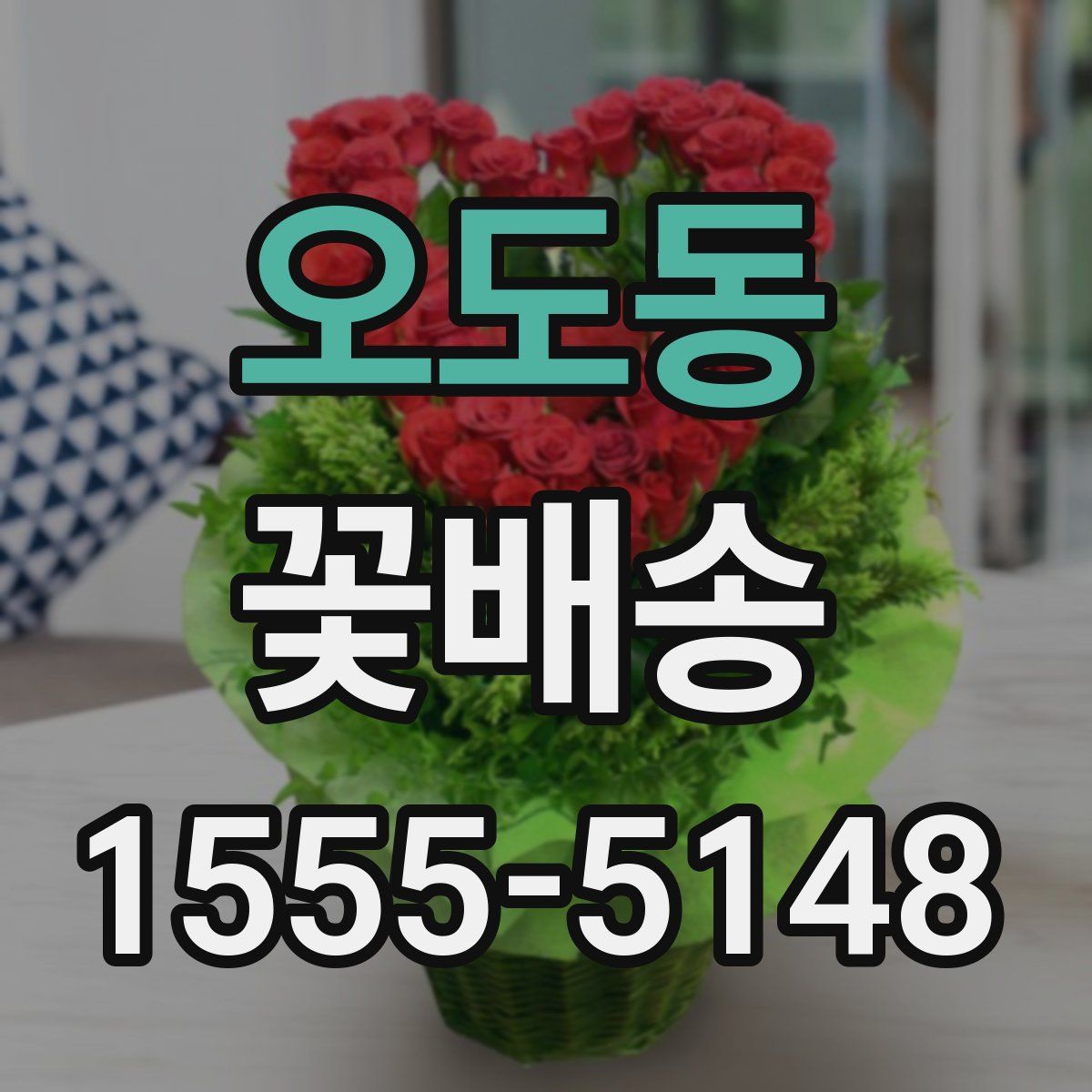 오도동 꽃배송