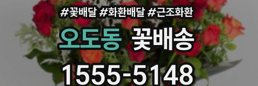 오도동 꽃배송