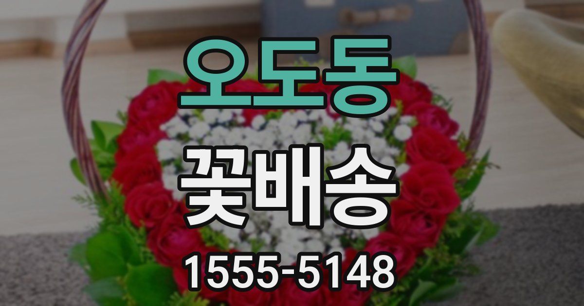 오도동 꽃배송
