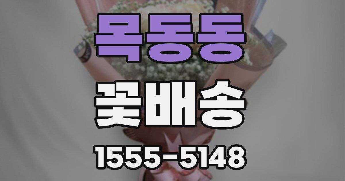목동동 꽃배송