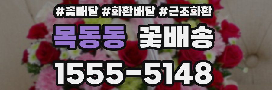 목동동 꽃배송