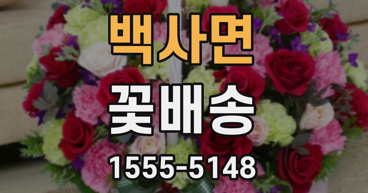 백사면 꽃배송