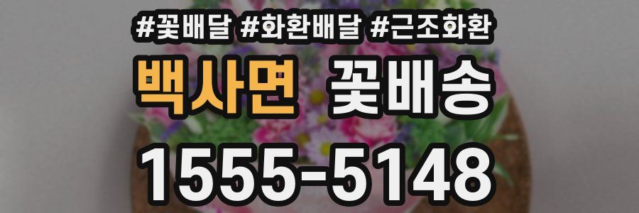 백사면 꽃배송