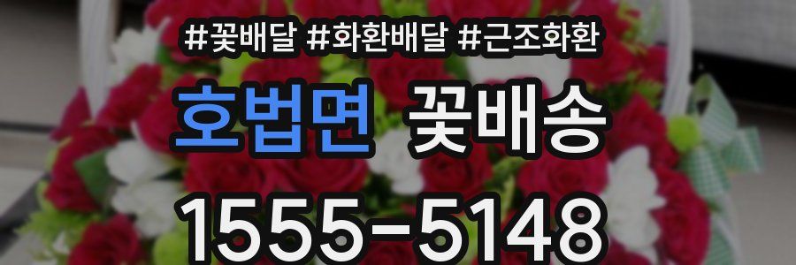 호법면 꽃배송