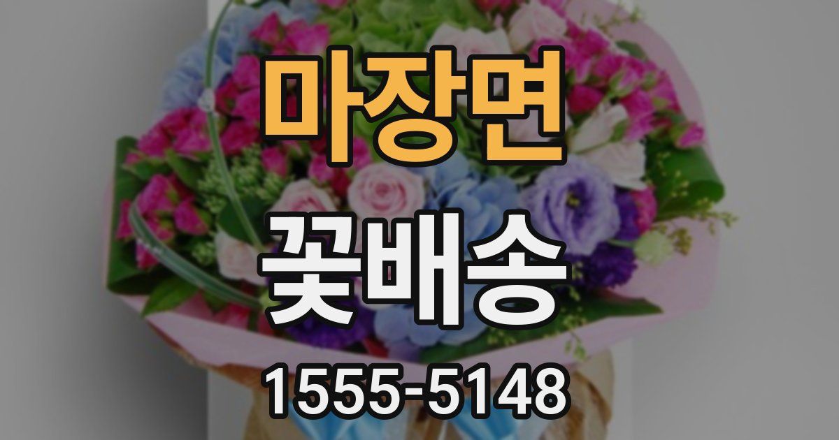 마장면 꽃배송