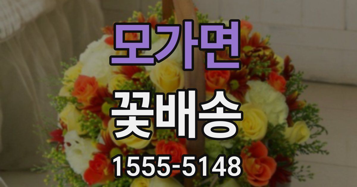 모가면 꽃배송