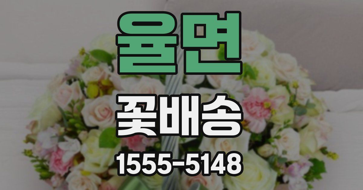율면 꽃배송