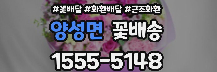 양성면 꽃배송