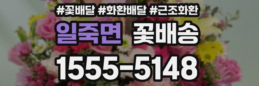 일죽면 꽃배송