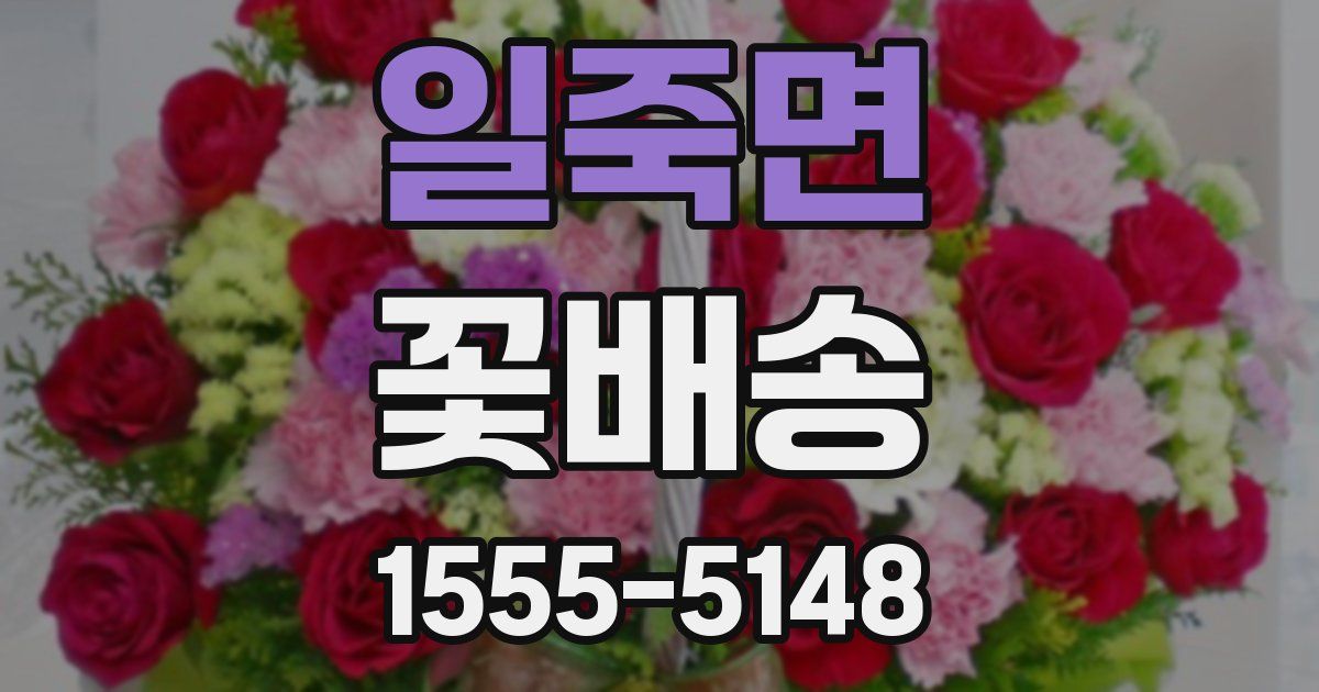 일죽면 꽃배송