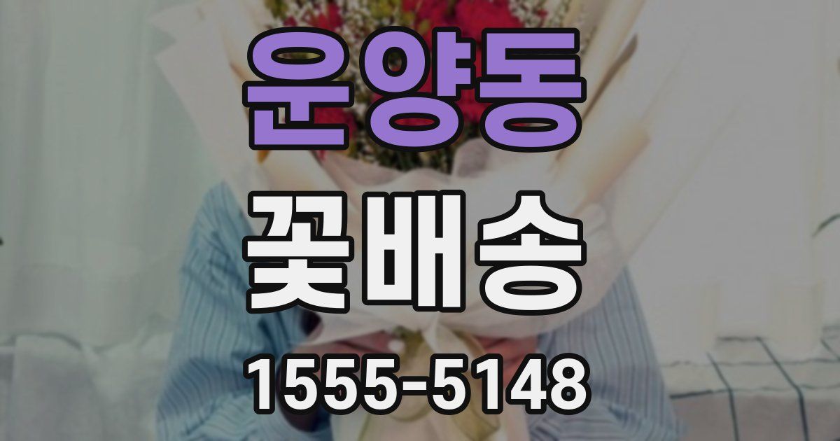 운양동 꽃배송